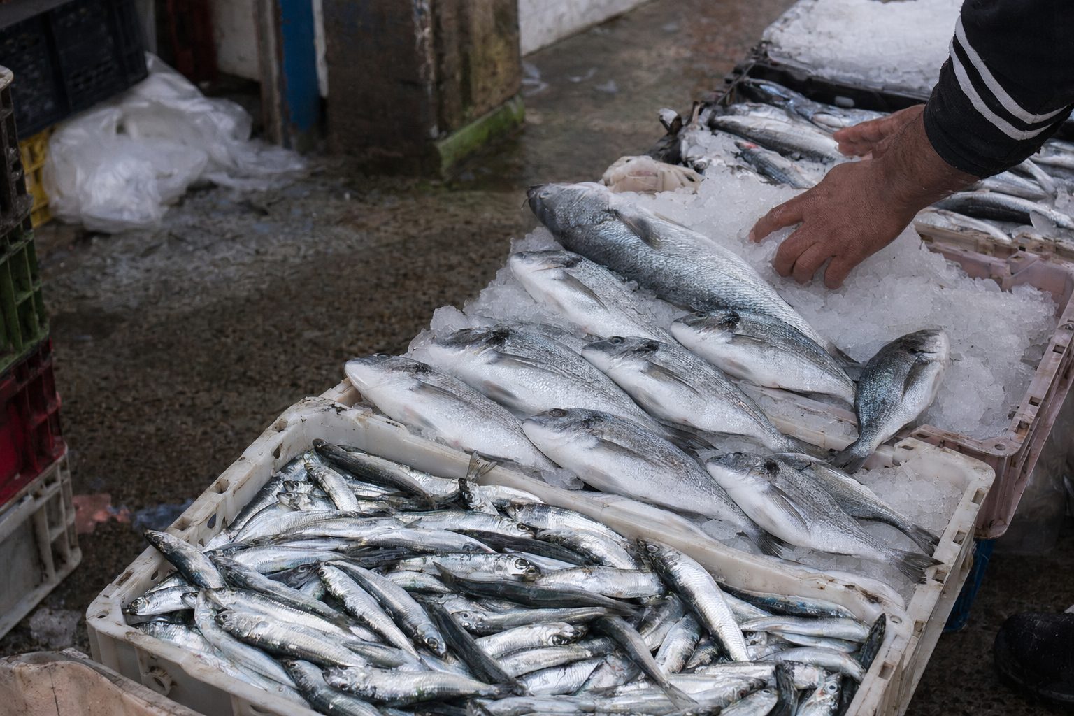 Poisson