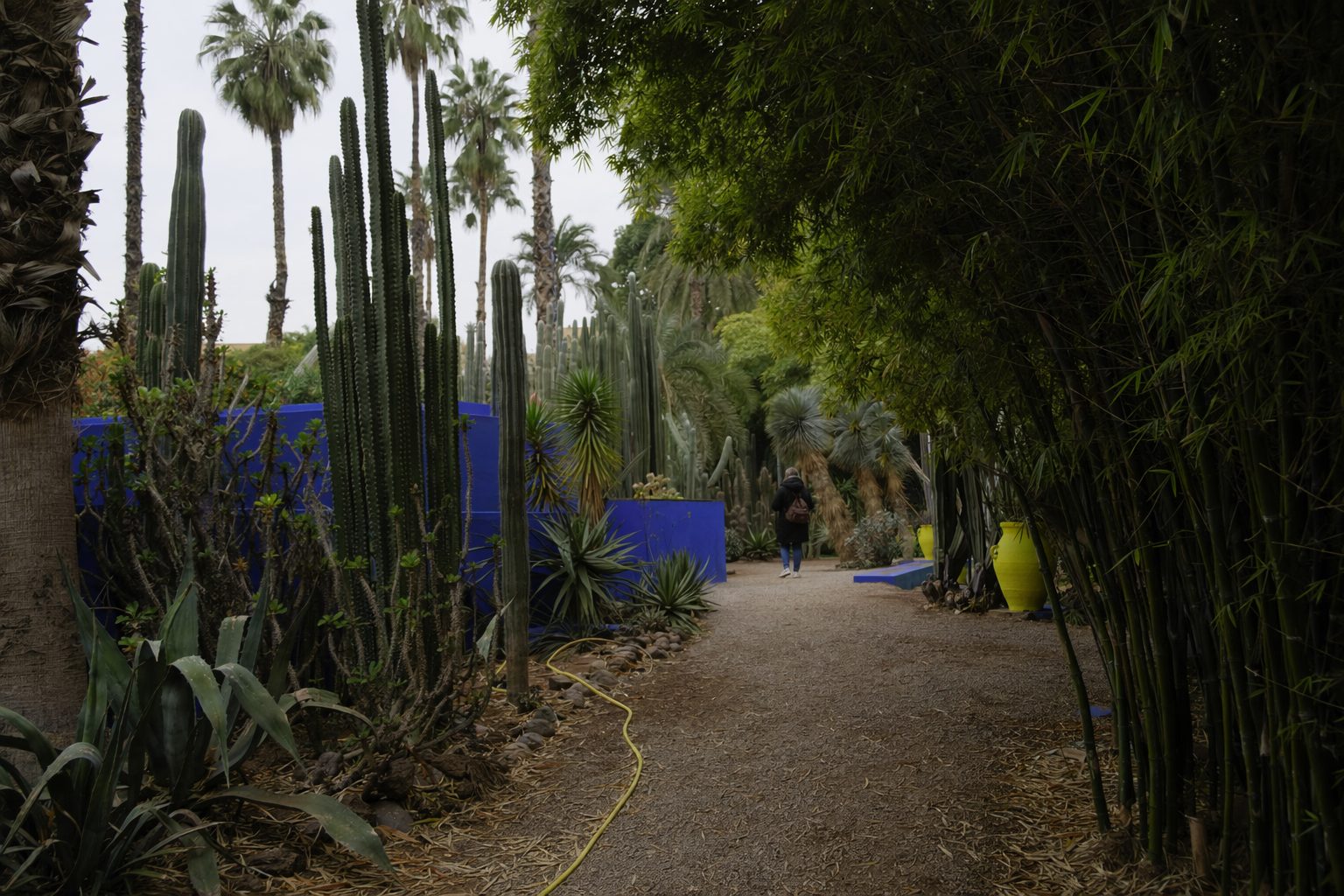 Jardin Majorelle