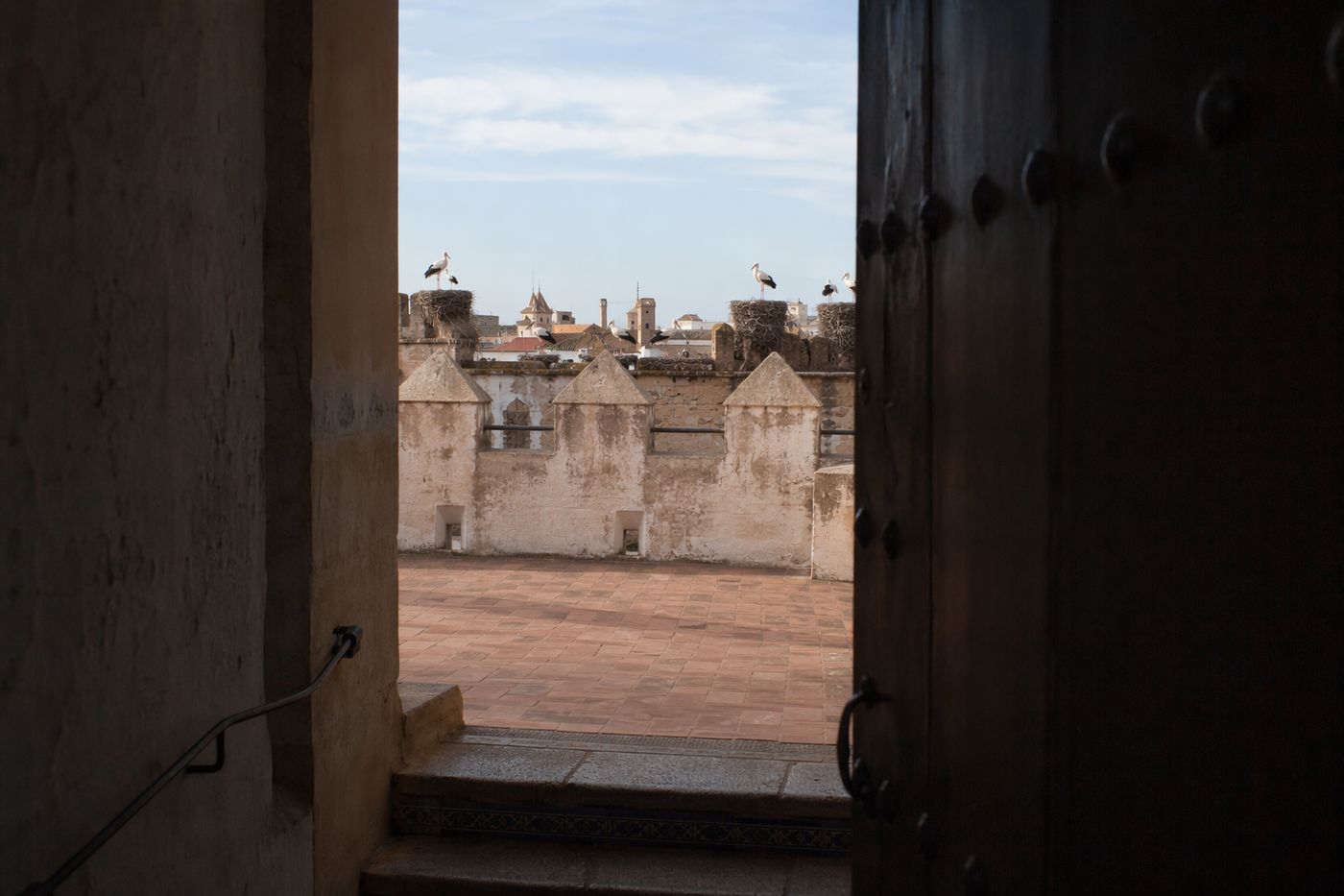 Cigognes nichées sur les remparts vues depuis l'ombre d'un escalier ouvrant sur une terrasse.