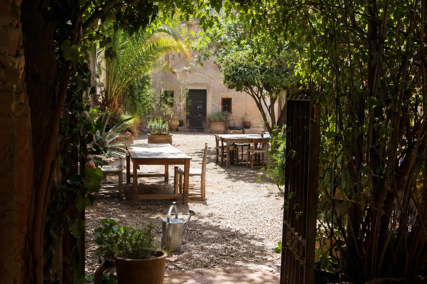 Jardin calme vu à travers un portail végétal, tables en bois sous le soleil tamisé de midi.