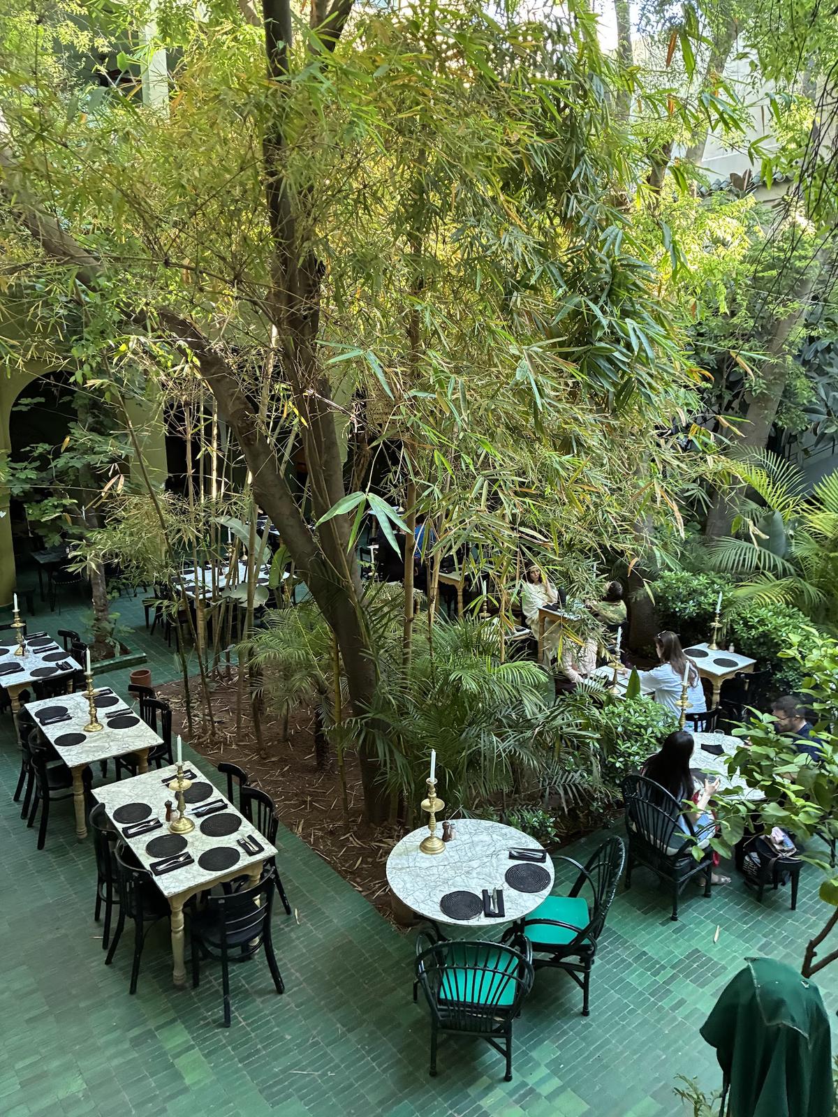 Le Jardin — photo 7